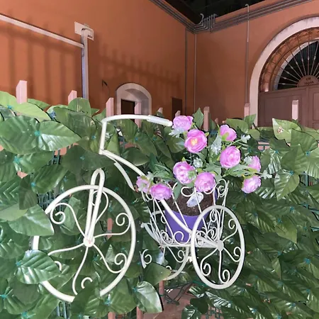 Pino Center~600 Mt Duomo Ct 卡塔尼亚